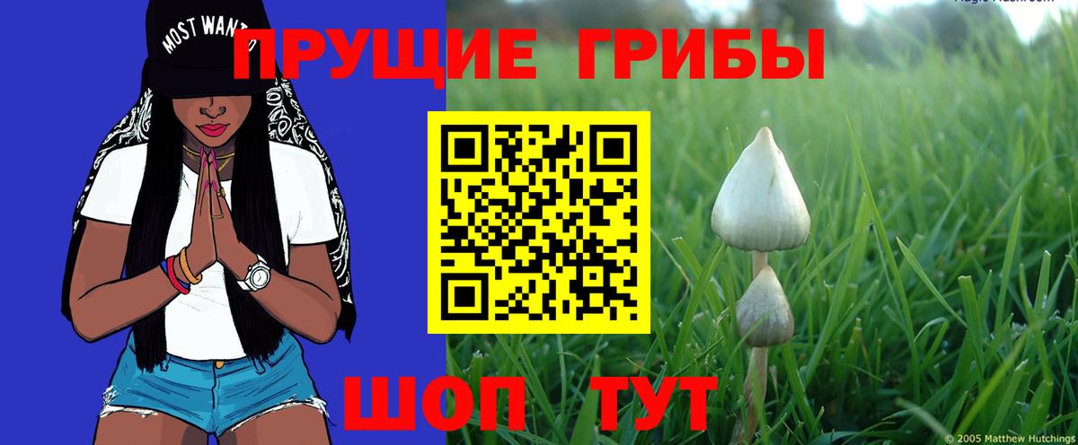 Псилоцибиновые грибы прущие грибы  Вход с VPN  Конаково 